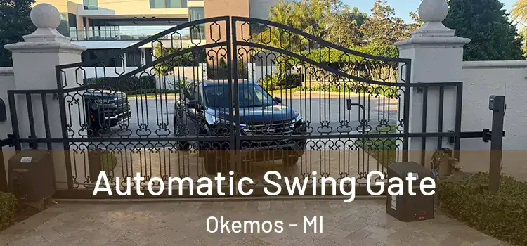  Automatic Swing Gate Okemos - MI