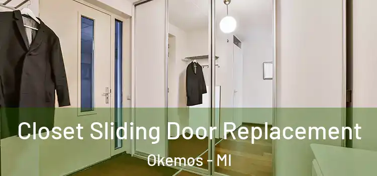 Closet Sliding Door Replacement Okemos - MI