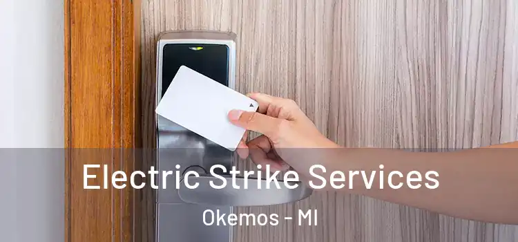 Electric Strike Services Okemos - MI