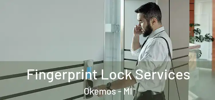  Fingerprint Lock Services Okemos - MI