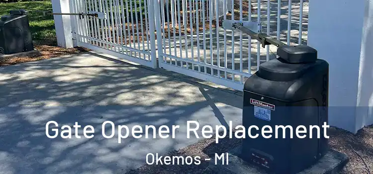 Gate Opener Replacement Okemos - MI