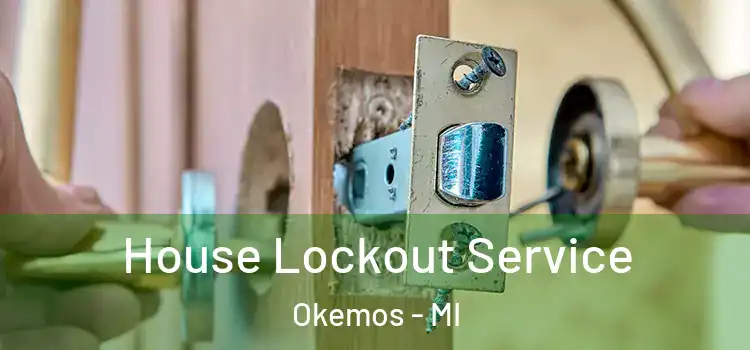  House Lockout Service Okemos - MI