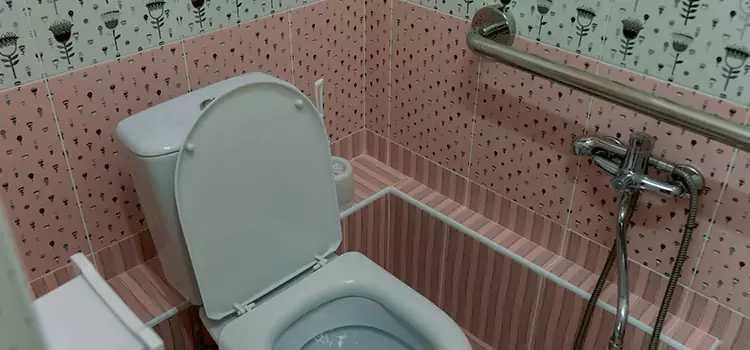 Meeting Diverse Needs With Accessible Restroom Solutions in Okemos, MI