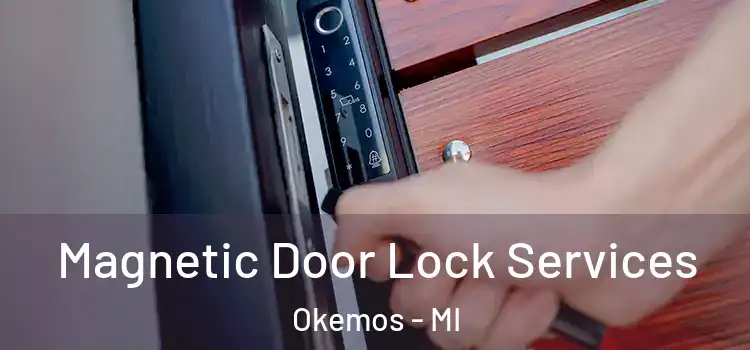 Magnetic Door Lock Services Okemos - MI