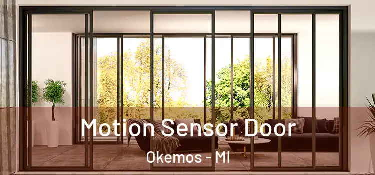 Motion Sensor Door Okemos - MI